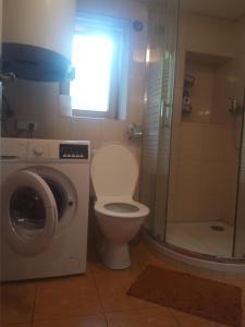 a bathroom with a toilet and a washing machine at Chalupa U Tety v Bystrém in Dobruška +71 photos