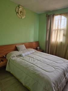 a bedroom with a large bed and a window at Casa de los Sauces in Toluca