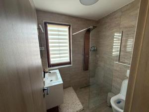 a bathroom with a toilet and a sink and a shower at Mély-Patak Vendégház in Erdőbénye