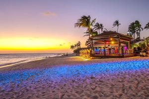a restaurant on the beach at sunset at Paradise Nest in Oranjestad