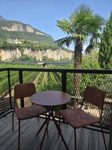 a table and two chairs on a deck with a palm tree at Fischerhof in Cortaccia +16 photos