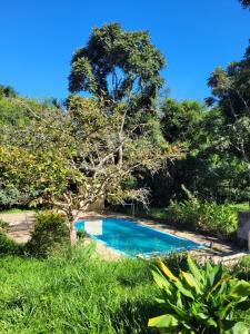 a swimming pool in a garden with a tree at Pousada Quintal da Cachoeira in São Thomé das Letras