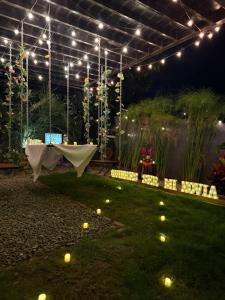 a garden with a table and lights on the grass at Oasis Glamping Tena Cun Vía La Mesa Anapoima in Tena