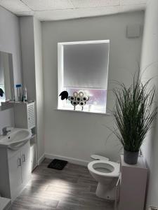a bathroom with a toilet and a window with a plant at Sunny and Comfortable Studio in Southport +5 photos