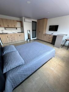 a large bedroom with a bed and a television at Hotel Central Park Cartago in Cartago