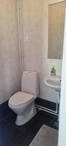 ein Badezimmer mit weißer Toilette und Waschbecken in der Unterkunft Gil guesthouse in Búðardalur + 28 Fotos