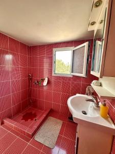 a red tiled bathroom with a sink and a shower at ARTE MARE d'Irene in Spartos +113 photos