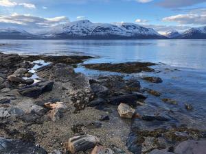 a large body of water with snow covered mountains at Venusvegen Skyline Views in Tromsø