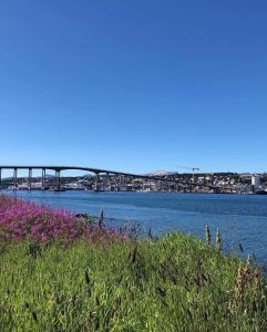 a bridge over a body of water with purple flowers at Venusvegen Skyline Views in Tromsø