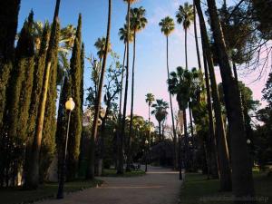 a street lined with palm trees and a street light at Castelar Urban Suites in Badajoz