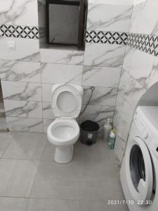 a bathroom with a toilet and a washing machine at Mastic lithos house in Chios