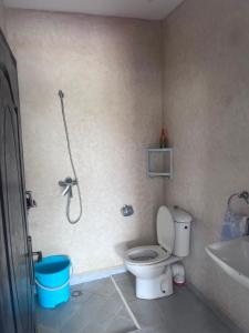 a bathroom with a shower and a toilet and a sink at Villa compagne sans vis-à-vis in Ounara