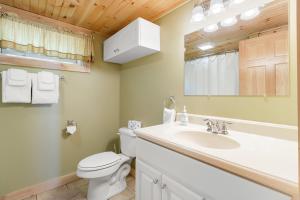 a bathroom with a toilet and a sink and a mirror at Waterfront cabin w/ outdoor firepit, dock, and lake views - dogs welcome in Greenville