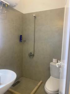 a bathroom with a shower and a toilet and a sink at HOTEL SARDA in Vau i Dejës +53 photos