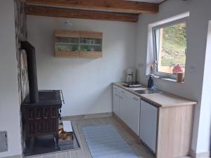 a kitchen with a stove and a sink at Eichberghaus in Aue