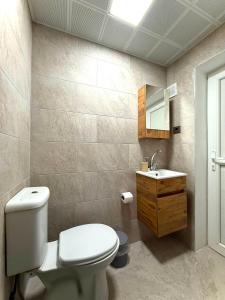 a bathroom with a toilet and a sink at Bodrum Merkez Pansiyon in Bodrum City