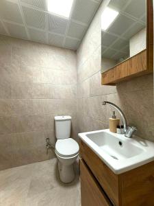 a bathroom with a toilet and a sink at Bodrum Merkez Pansiyon in Bodrum City