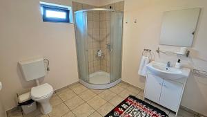 a bathroom with a shower and a toilet and a sink at Villa Odorica in Gura Humorului +28 photos