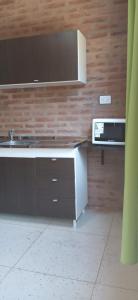 a kitchen with a sink and a microwave at lo de la Gri in El Volcán