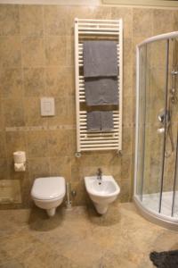 バーリにあるResidenze Principe Amedeoのバスルーム(トイレ、洗面台、シャワー付)
