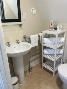 a bathroom with a sink and a toilet and a mirror at Tor Royal Farm House in Princetown