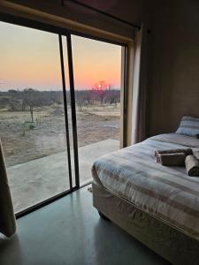a bedroom with a bed and a large glass window at Pi-Buddy Lodge and Bushcamp in Outjo