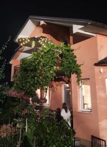 a cat sitting in front of a building at Dino's Apartments in Plav +6 photos