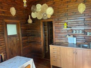 a kitchen in a log cabin with a sink at Ośrodek Wypoczynkowy Sielawa in Chrzypsko Wielkie