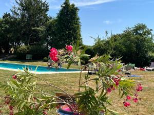 a plant with pink flowers next to a swimming pool at Le Colombier de Hanches - Teritoria in Hanches +37 photos