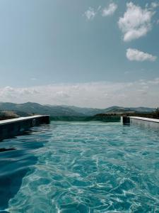 a pool of water with mountains in the background at Hilltop Munteni in Munteni