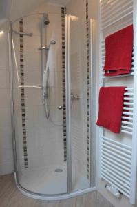 a shower stall in a bathroom with a red towel at Familie Stoier in Reichenau