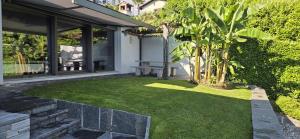 a small garden with a small palm tree in a house at Casa Ramerino in Brissago