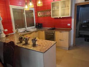 a kitchen with red walls and a counter with plants on it at chalet de paradis in Bizerte