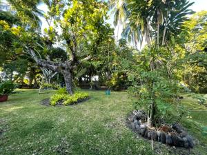 a garden with two trees and plants in the grass at Fare Taitua in Papara