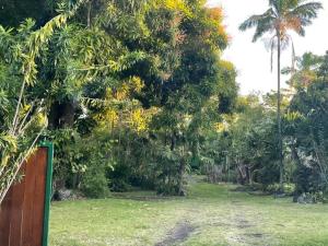 a field with trees and grass and a fence at Fare Taitua in Papara +1 photo