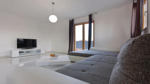 Televízia a/alebo spoločenská miestnosť v ubytovaní Villa Palatium I