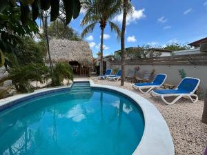a swimming pool with blue chairs and a house at BnBBonaire near the ocean in Kralendijk