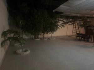 a room with a bunch of potted trees and a ladder at Dera October city in 6th Of October
