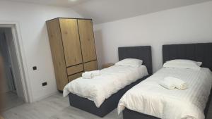 a bedroom with two beds and a wooden cabinet at Danube House in Cluj-Napoca