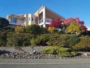 a house on a hill with bushes and trees at The Shearwater House - Panoramic Ocean View Suites in Nanaimo