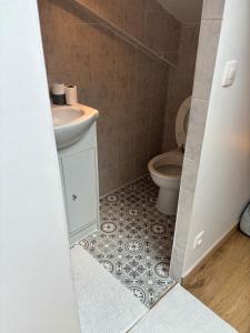 a bathroom with a sink and a toilet at Studio climatisé in Paray-Vieille-Poste