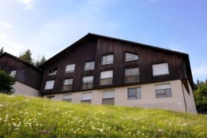 a building on top of a grassy hill at Le Bellevue in Xonrupt-Longemer