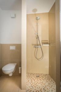 a bathroom with a shower with a toilet and a shower at Hanse-City-Boardinghouse in Greifswald