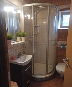 a bathroom with a shower and a sink and a toilet at Welcome Home in Piaseczno