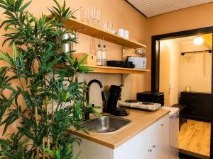 a kitchen with a sink and a plant at Ruhiges & gemütliches Studio in Schneverdingen +6 photos