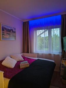 a purple bedroom with a bed with a window at Apartament Wiejski Raj in Kozy