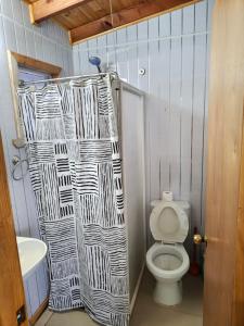 ein Badezimmer mit Toilette und Duschvorhang in der Unterkunft dormitorio REST in Chaitén