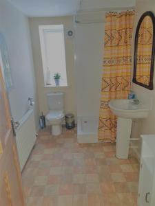 a bathroom with a toilet and a sink at Old School, Spean Bridge - fun, friendly, relaxed in Spean Bridge