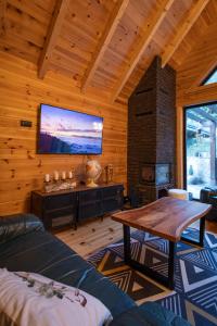 a living room with a fireplace and a tv at Alpas forest house in Kuršumlija