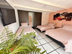 a hotel room with two beds and a plant at Padua Finca Hotel in Chachagüí +60 photos